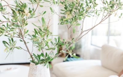 Les Principes de la Naturopathie